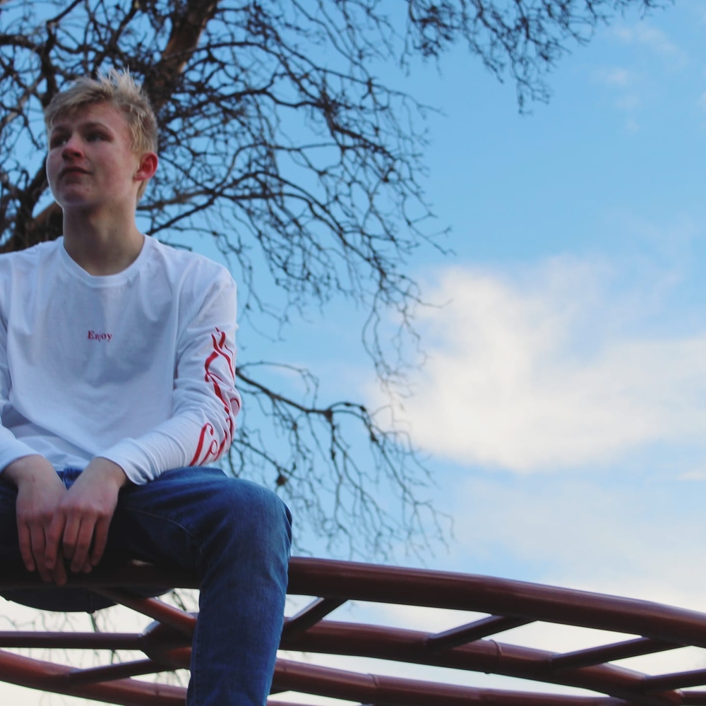 Meet your Posher, Odin